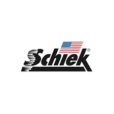 Schiek